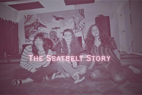 seatbelt story