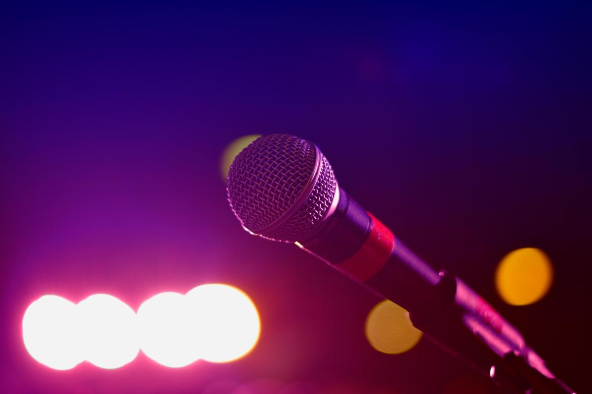 Karaoke Mic